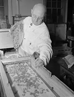 Researcher Prints: Man Experimenting with Chopped Carrots