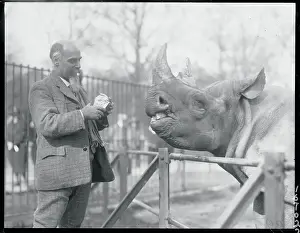 Man Feeding a Rhinoceros