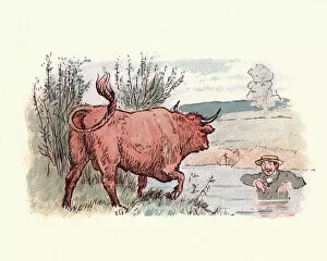 Images Dated 1st November 2017: Man hiding in a river from a bull