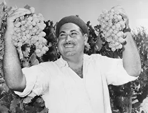 Sydney Prints: Man Holding Grapes