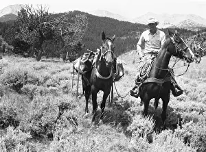 Man on horseback
