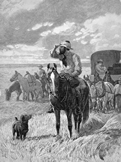 Man On Horseback Looking Into Distance