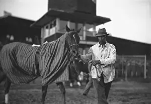 Incidental People Collection: Man leading horse on race track, (B&W)