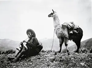 Lama Prints: Man And Llama At Rest