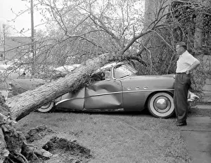 Thunderstorm Prints: Man Looking at His Damaged Car. Cleveland, Ohio, USA. May 13, 1956