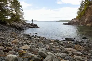 A Man Looks From A Cove Along The Lighthouse Trail; Tofino British Columbia Canada