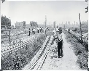 Man Making Rope