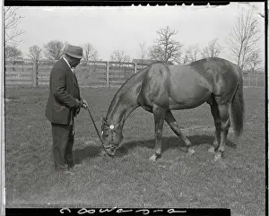 Lexington Prints: Man O War Eating Grass