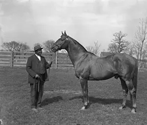 Lexington Prints: Man O War and Horse Attendant