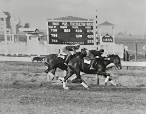 Windsor Prints: Man O War and Sir Barton Warming Up