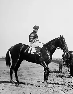 Man O'War, Famous Racehorse