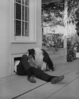 Lying On Back Prints: Man partly inside air duct and dog sitting beside him