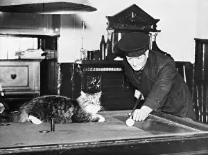 Billiard Cue Prints: Man playing pool while cat is sleeping on table