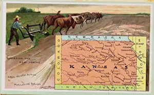 Oxen Prints: Man Plowing Field During Expansion of Kansas