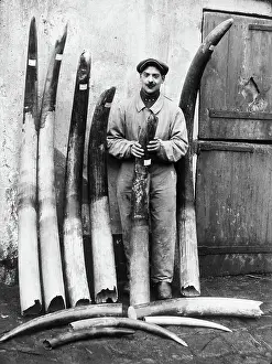 Man Posing With Tusks