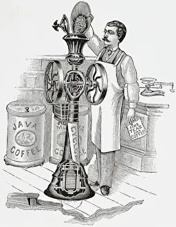 Coffee Prints: Man Pouring Coffee Beans into Grinding Machine