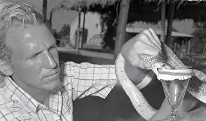 Rubber Prints: Man Presses The Head Of A Deadly Cobra