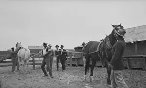 Man Pulling Against Two Horses