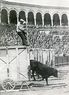 Sevilla Prints: Man Releasing Fighting Bull from Pen at Arena Event