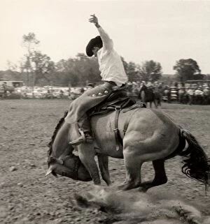 Man riding bucking bronco
