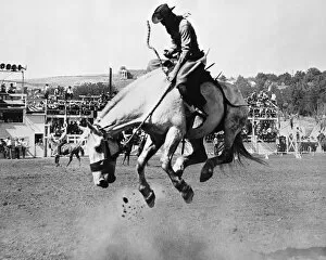 Horse Gallery: Man riding bucking horse in rodeo