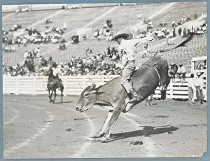 Man Riding Bull