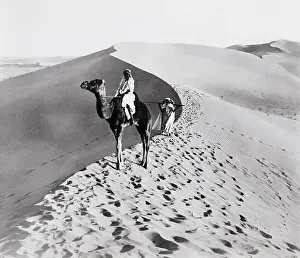 Camel Prints: Man Riding a Camel in the Desert