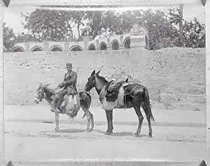 Palermo Prints: Man Sitting on Donkey With Horse Behind