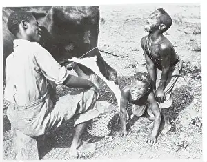 Man Squirting Cow's Milk at Children