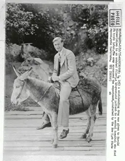 Mule Prints: Man in Suit seated on a Mule