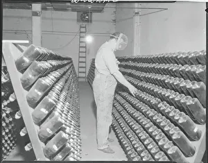 Champagne Prints: Man Turning Bottles of Champagne