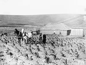 Nebraska Prints: Man and Woman Farming