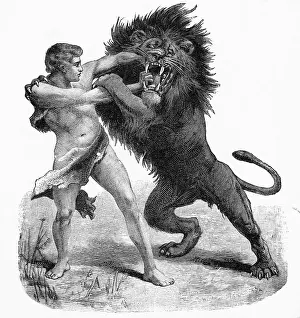 Man Wrestling With A Lion (Illus.)