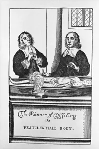 Surgery Prints: The Manner of Dissecting the Pestilentiall Body Illustration