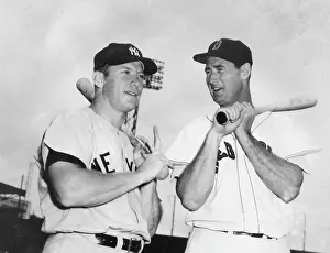 Ted Williams Prints: Mantle & Williams In Fenway Park