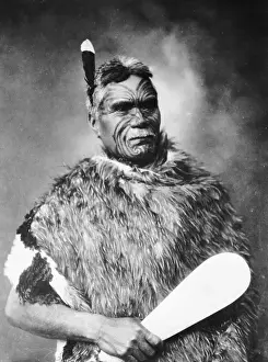 Maori Chief