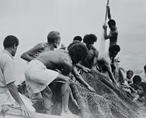 Maoris Hauling in Fish Nets