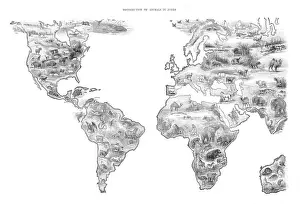 Map Distribution of animal in the world 1892