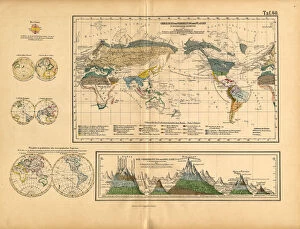 Map of Global Distribution of Plants, Victorian Botanical Illustration