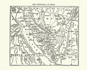 North Africa Collection: Map of the Sinai Penninsula, 1870