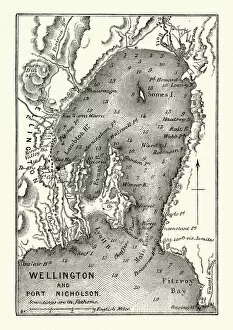 Images Dated 19th February 2019: Map of Wellington and Port Nicholson, New Zealand, 19th Century