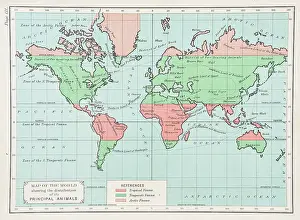 Map of the World showing the distribution of principal animals 1892