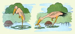 Catch Prints: Marabou Catching a Meal