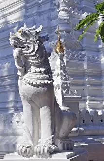 Marble lion, Wat Suan Dok, temple in Chiang Mai, Thailand, Asia, PublicGround