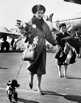 Tarmac Prints: Maria Callas and Dog Arriving at Airport