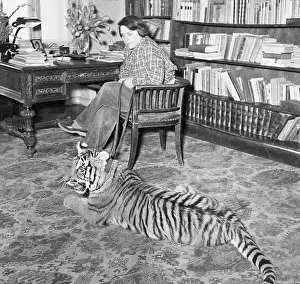 Tiger Prints: Maria Von Maltzan at Home