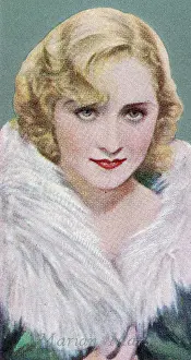 Marian Marsh Prints: Marian Marsh, Film Favourites series, collectible Godfrey Phillips cigarette card, 1934