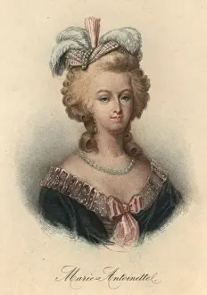 Antoinette Queen Prints: Marie Antoinette