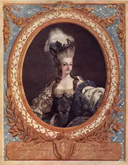 Antoinette Queen Prints: Marie Antoinette