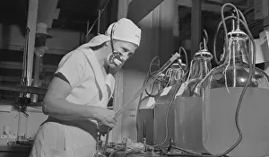 Cholera Prints: Marie Wooster Working with Vaccine